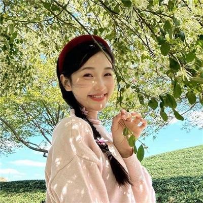 完美的结局