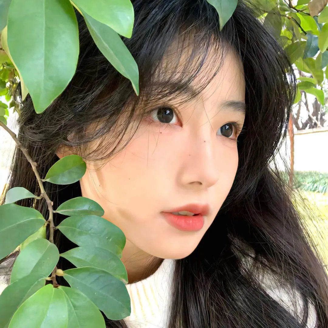 我和我的朋友们
